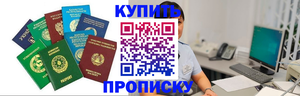 прописка в Зернограде